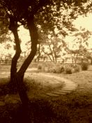 朝の柊塚古墳公園